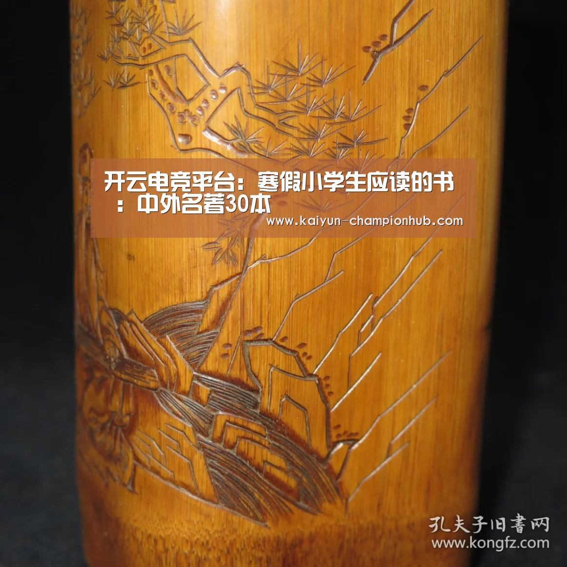 开云电竞平台:寒假小学生应读的书 :中外名著30本(图4) 开云电竞