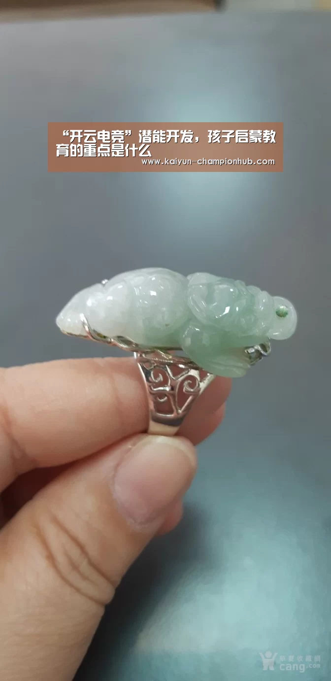 “开云电竞”潜能开发,孩子启蒙教育的重点是什么(图1) 开云电竞平台